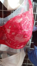 IMG 20250823 WA0023